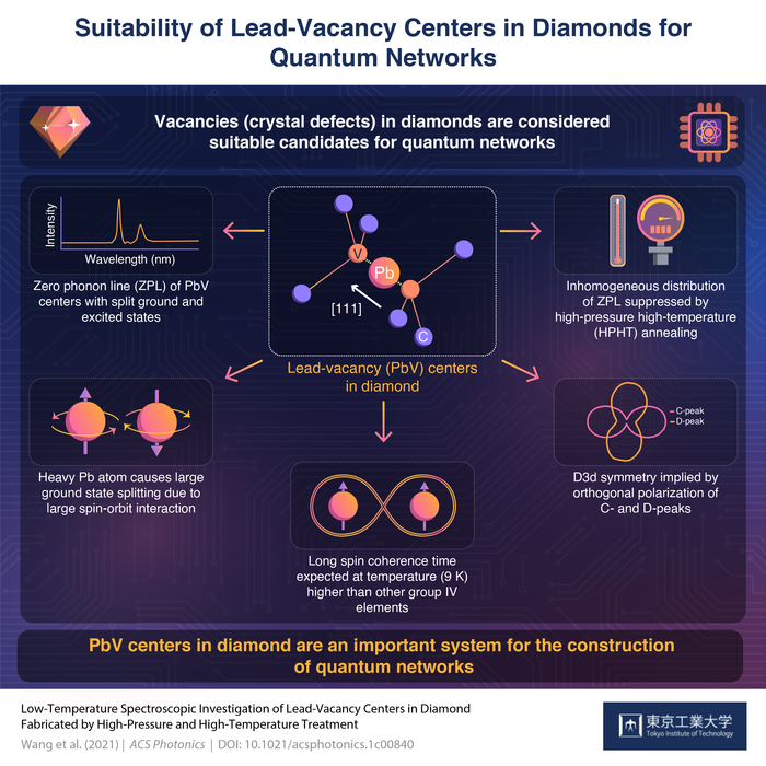 Suitability of Lead-Vacancy Centers in Diamonds for Quantum Networks