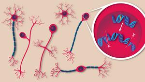 AHC gene editing
