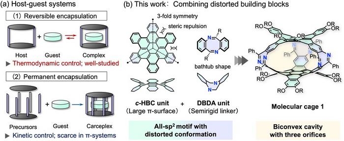 Figure 1. Two modes of guest encapsulation in host-guest chemistry and the molecular design developed in this study.