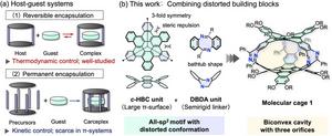 Figure 1. Two modes of guest encapsulation in host-guest chemistry and the molecular design developed in this study.