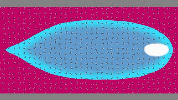 Animation