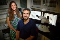 Research Team
