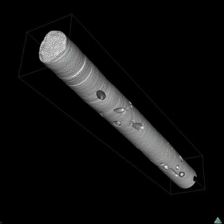 Skeletal Core Scans