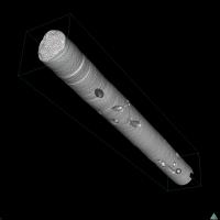 Skeletal Core Scans