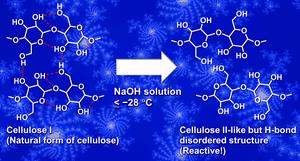 The cold base treatment transforms cellulose I structure into a more reactive form.
