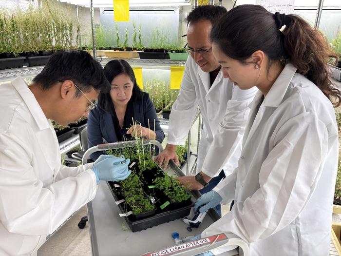 Torii lab