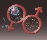 Hormones Trigger Sperm Power Kick