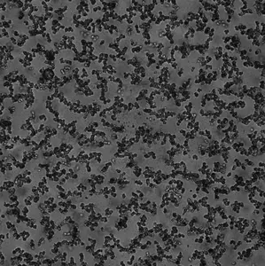 Melting of colloidal aggregates