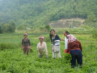 Women in Fields