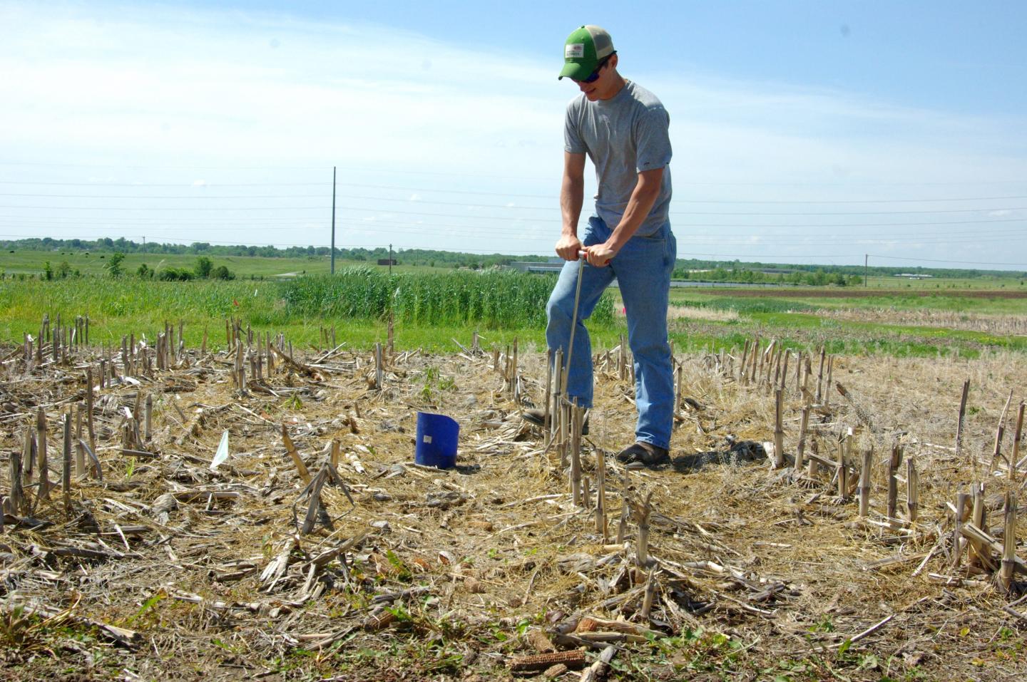 Soil Test