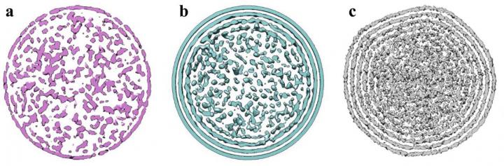 Comparison of Simulations to Cryo-EM Density Maps