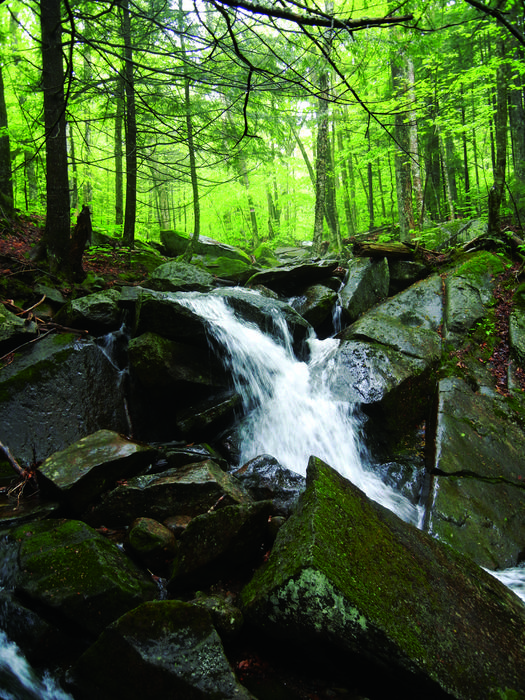 Stream at Hubbard Brook Experimental Forest