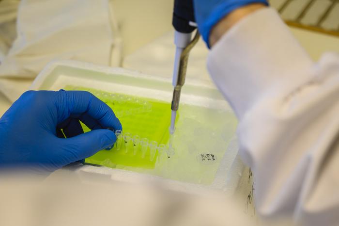 Lab work at CTI, UMC Utrecht