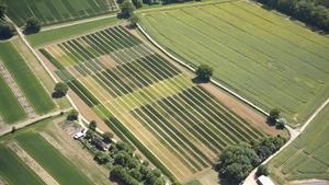 The 183 year-old Broadbalk winter wheat plot experiment at Rothamsted, Hertfordshire, UK