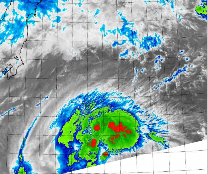 MODIS Image of Molave