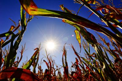 2012 Missouri Drought