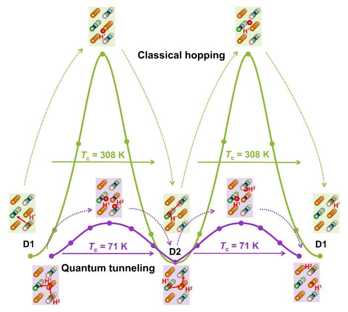 Quantum shortcut for hydrogen transport in lanthanum trihydride