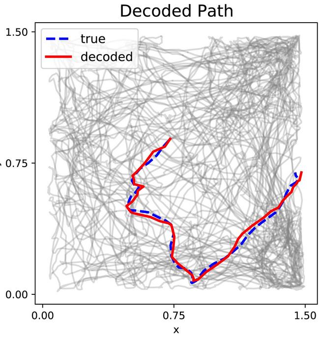 Colorized paths showing a 5 second comparison of decoded versus ground-truth position