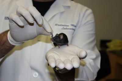 Super Mouse
