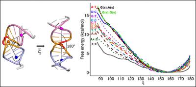Bent DNA
