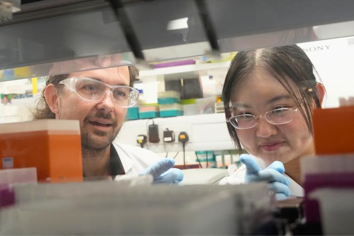 NUS CDE Researchers Uncover How Cells Remember Their Surroundings to Move through Tight Spaces