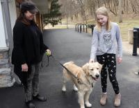 Petting Dog