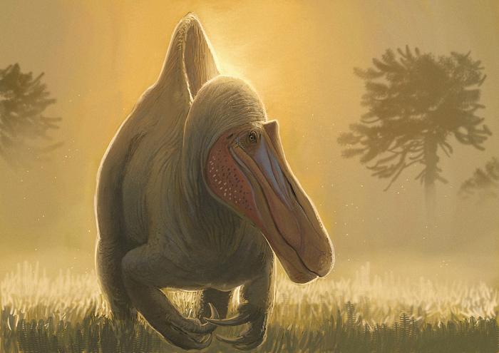 Reconstruction of Camarillasaurus cirugedae