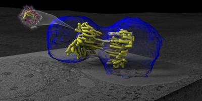 2011 Visualization Challenge Winners Announced (8 of 19)