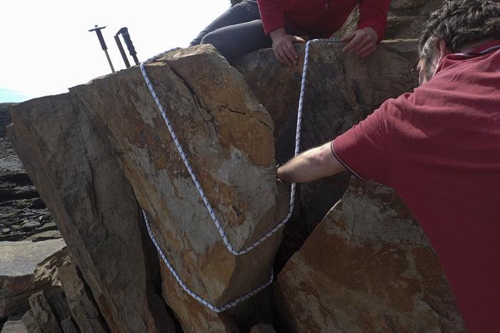 Removing Arthropleura fossil