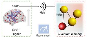 Protecting quantum memories from noise using reinforcement learning