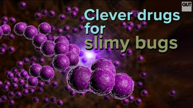 QUT Researchers Develop 'Clever Drugs for Slimy Bugs'