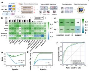 Fig. 2. The performance of models by different molecular descriptors and algorithms.