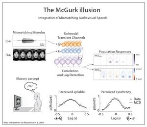 The McGurk illusion