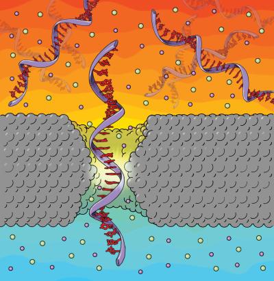 Silicon Nitride Nanopore Translocation