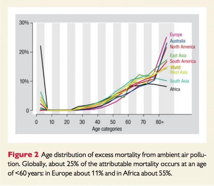 Air Pollution 'Pandemic'