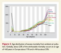 Air Pollution 'Pandemic'