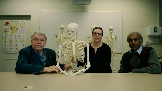Forearm artery reveals humans evolving from changes in natural selection