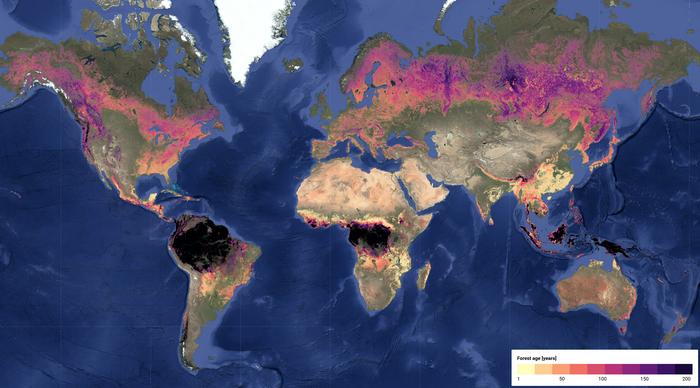 2020 forest age visualization in Google Earth Engine