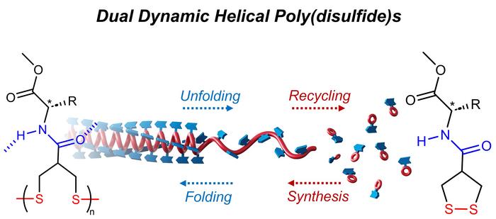 Dynamics of the artificial helical polymer
