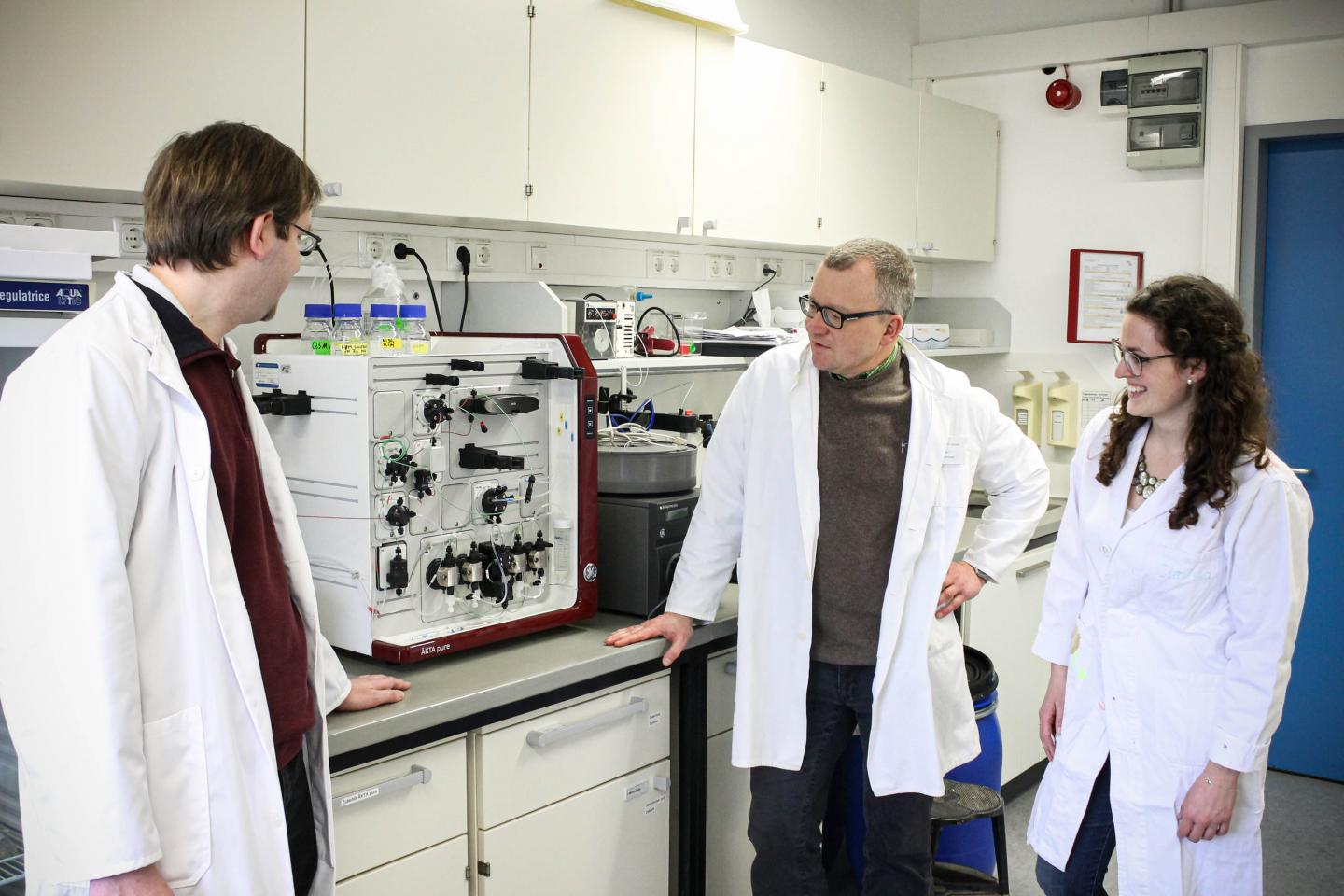 The Research Team