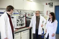The Research Team