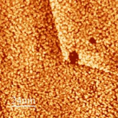 Novel NIST Process Is a Low-Cost Route to Ultrathin Platinum Films (2 of 2)