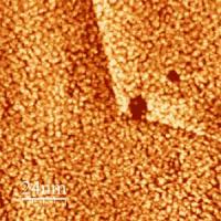 Novel NIST Process Is a Low-Cost Route to Ultrathin Platinum Films (2 of 2)