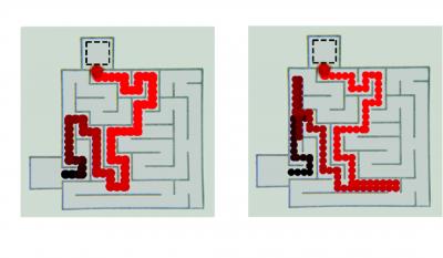 Oil Maze
