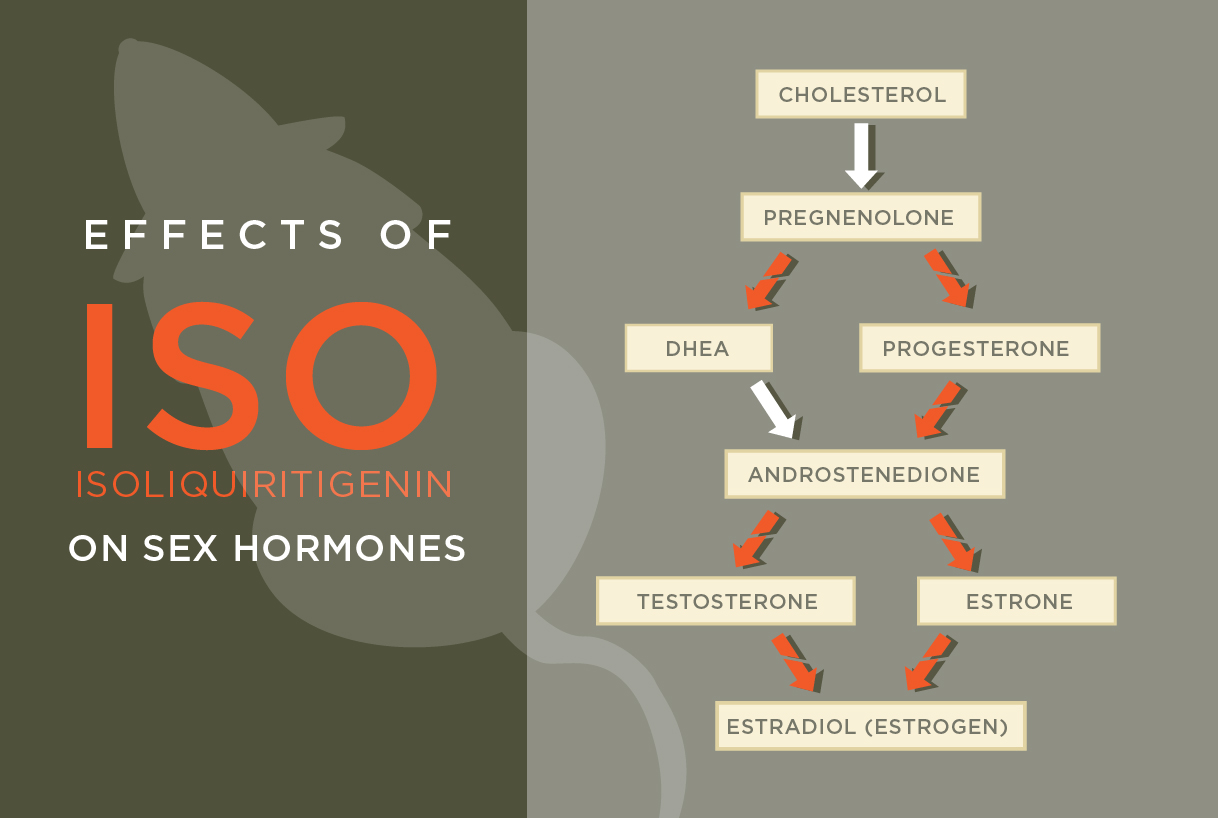 Compound in Licorice Interrupts Sex Steroid Production