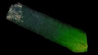3D Views of Puerto Rico's Forests After Hurricane Maria