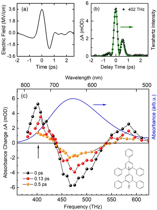 Time dependence of the THz electric field with a maximum amplitude of 3.6 MV/cm at the location of the dye molecules.