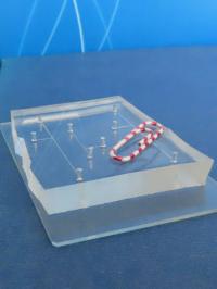 Microfluidic Chip