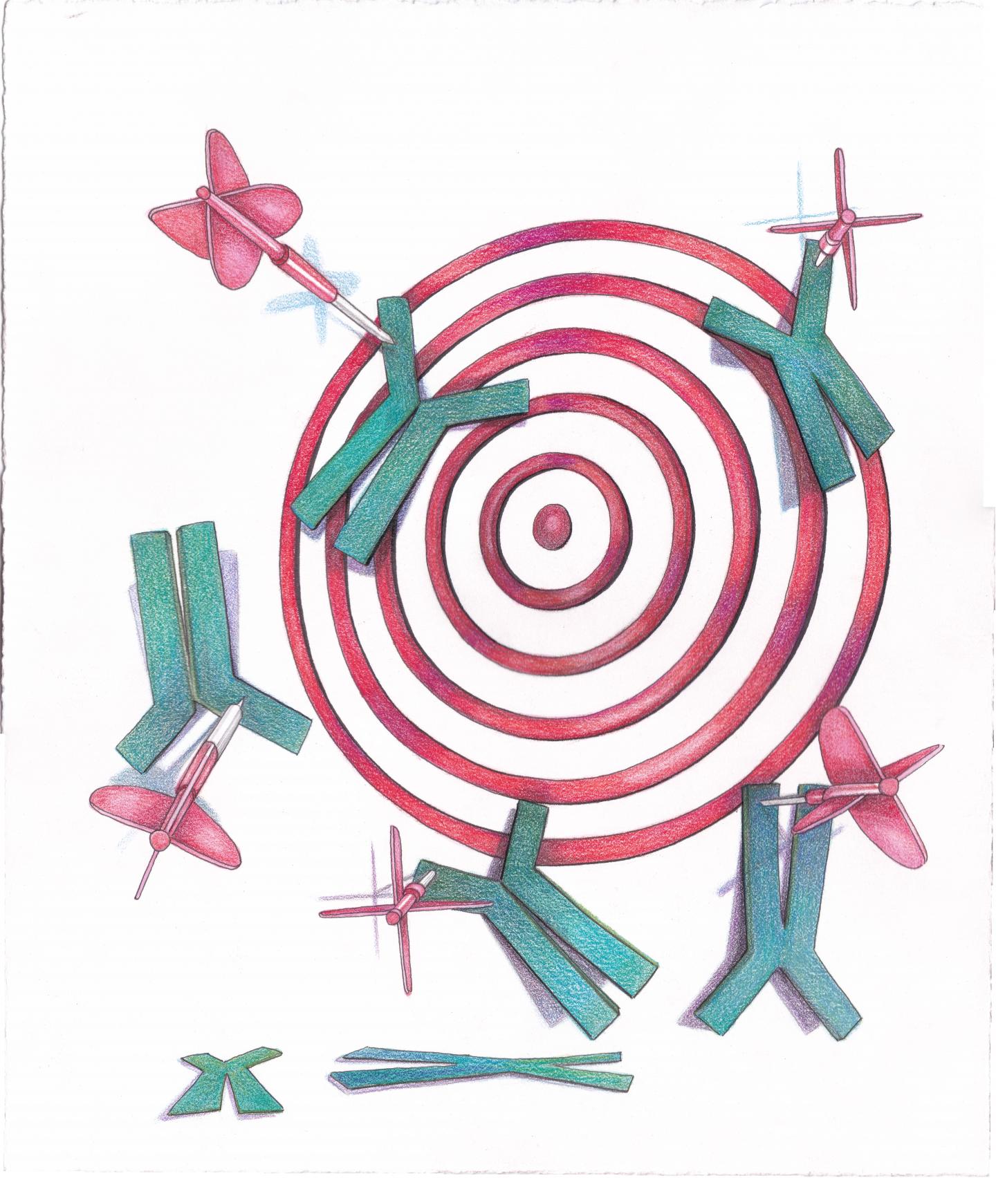 Target Rothbart