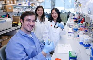 The Researchers